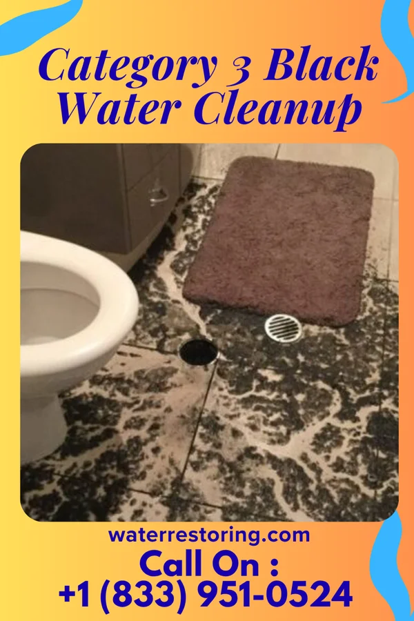 Category 3 Black Water Cleanup in Blanchardville, WI