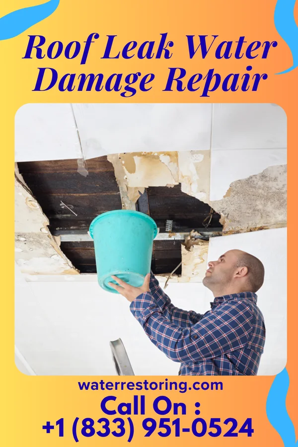 Roof Leak Water Damage Repair in Blanchardville, WI